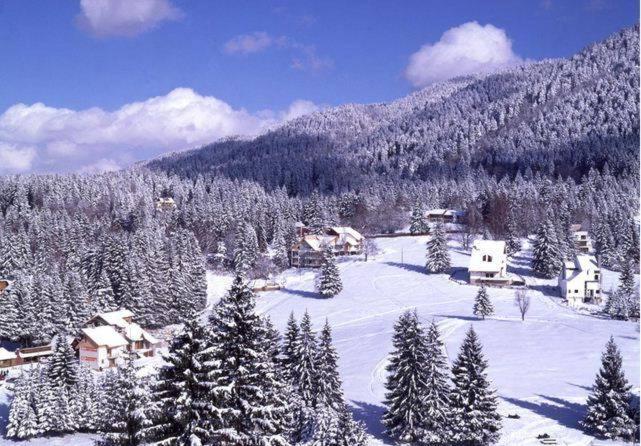 Poiana Brasov, Aparthotel 609,Alpin Esterno foto